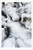 Mountain stream flowing beneath a blanket of ice, Alpi Carniche , Friuli-Venezia Giulia, Carnia by Anonymous