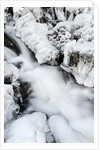 Mountain stream flowing beneath a blanket of ice, Alpi Carniche , Friuli-Venezia Giulia, Carnia by Anonymous