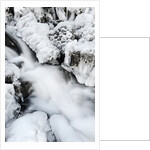 Mountain stream flowing beneath a blanket of ice, Alpi Carniche , Friuli-Venezia Giulia, Carnia by Anonymous