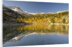 Alpine lake near Lavarella and Fanes huts,Sennes, Fanes, Braies Natural Park, Alto Adige, Italy by Anonymous