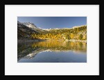 Alpine lake near Lavarella and Fanes huts,Sennes, Fanes, Braies Natural Park, Alto Adige, Italy by Anonymous