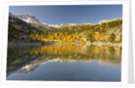 Alpine lake near Lavarella and Fanes huts,Sennes, Fanes, Braies Natural Park, Alto Adige, Italy by Anonymous