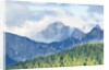 The mount Sernio emerges from the clouds and stands with majesty abiove the green woods, Alpi Carnic by Anonymous