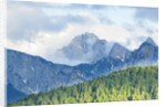 The mount Sernio emerges from the clouds and stands with majesty abiove the green woods, Alpi Carnic by Anonymous