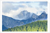 The mount Sernio emerges from the clouds and stands with majesty abiove the green woods, Alpi Carnic by Anonymous