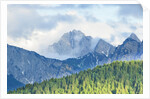 The mount Sernio emerges from the clouds and stands with majesty abiove the green woods, Alpi Carnic by Anonymous