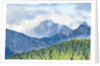 The mount Sernio emerges from the clouds and stands with majesty abiove the green woods, Alpi Carnic by Anonymous