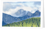 The mount Sernio emerges from the clouds and stands with majesty abiove the green woods, Alpi Carnic by Anonymous