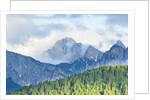 The mount Sernio emerges from the clouds and stands with majesty abiove the green woods, Alpi Carnic by Anonymous