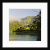 Sauris lake ad Sauris di Sotto in spring, Friuli, Carnia, Italy by Anonymous