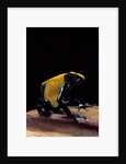 Dendrobates tinctorius f. citronella (dyeing poison dart frog) by Anonymous