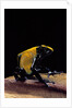 Dendrobates tinctorius f. citronella (dyeing poison dart frog) by Anonymous
