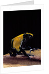 Dendrobates tinctorius f. citronella (dyeing poison dart frog) by Anonymous