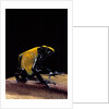 Dendrobates tinctorius f. citronella (dyeing poison dart frog) by Anonymous