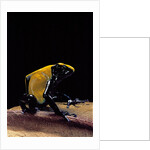 Dendrobates tinctorius f. citronella (dyeing poison dart frog) by Anonymous