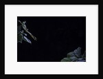 Hyla meridionalis (Mediterranean tree frog) - leaping by Anonymous