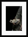 Hyperolius marmoratus (marbled reed frog, painted reed frog) by Anonymous
