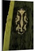 Hyperolius marmoratus (marbled reed frog, painted reed frog) by Anonymous
