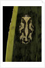 Hyperolius marmoratus (marbled reed frog, painted reed frog) by Anonymous