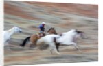 Cowboy at Full Gallop in motion by Anonymous
