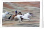 Cowboy at Full Gallop in motion by Anonymous