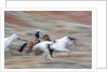 Cowboy at Full Gallop in motion by Anonymous