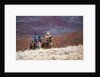 Cowboys at Full Gallop by Anonymous