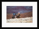 Cowboys at Full Gallop by Anonymous