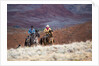Cowboys at Full Gallop by Anonymous