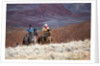 Cowboys at Full Gallop by Anonymous