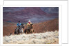 Cowboys at Full Gallop by Anonymous