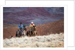 Cowboys at Full Gallop by Anonymous
