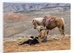 Cowgirl and Her Horse with dog viewing the countryside by Anonymous
