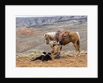 Cowgirl and Her Horse with dog viewing the countryside by Anonymous