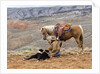 Cowgirl and Her Horse with dog viewing the countryside by Anonymous