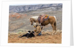 Cowgirl and Her Horse with dog viewing the countryside by Anonymous