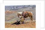 Cowgirl and Her Horse with dog viewing the countryside by Anonymous