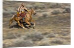 Cowgirl riding at full speed in motion by Anonymous