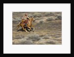 Cowgirl riding at full speed in motion by Anonymous