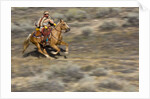 Cowgirl riding at full speed in motion by Anonymous