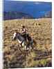 Cowgirl riding at full speed in motion by Anonymous