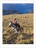 Cowgirl riding at full speed in motion by Anonymous