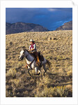 Cowgirl riding at full speed in motion by Anonymous