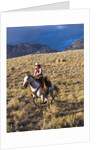 Cowgirl riding at full speed in motion by Anonymous