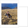 Cowgirl riding at full speed in motion by Anonymous