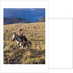 Cowgirl riding at full speed in motion by Anonymous