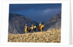 Cowboys and Cowgirls riding along the hills of the Big Horn Mountains by Anonymous