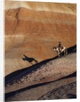Rider with Shadow coming down Hill in Painted Desert by Anonymous