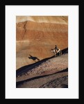 Rider with Shadow coming down Hill in Painted Desert by Anonymous