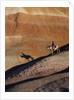 Rider with Shadow coming down Hill in Painted Desert by Anonymous